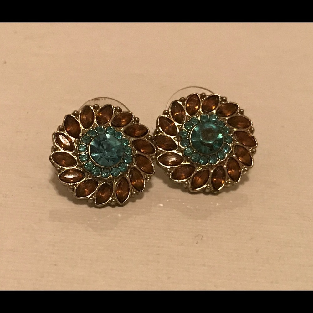 Brown and Blue Studded Earrings